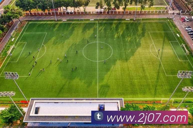 星空入口网页版登录平台生态图