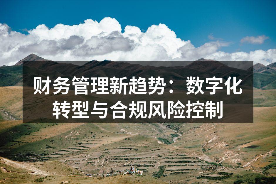 财务管理新趋势：数字化转型与合规风险控制